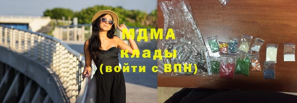сатива Коряжма