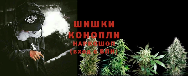 сатива Коряжма