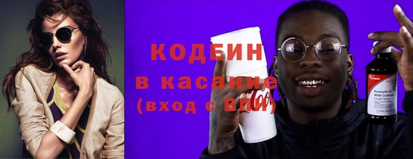 сатива Коряжма