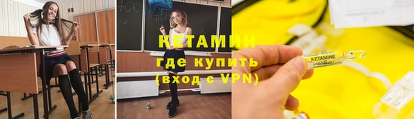 сатива Коряжма