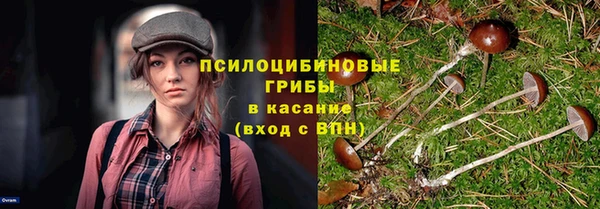 а пвп мука Корсаков