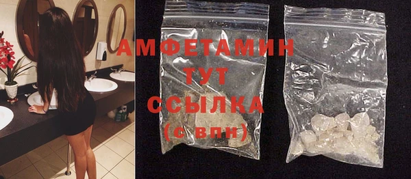 сатива Коряжма