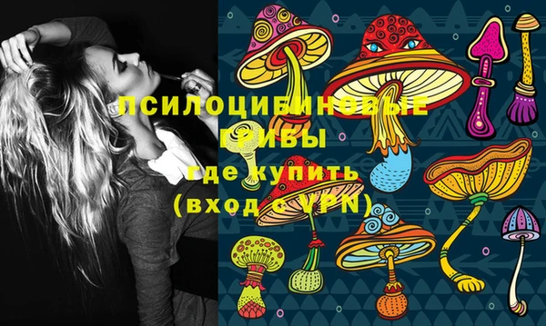 стаф Козловка