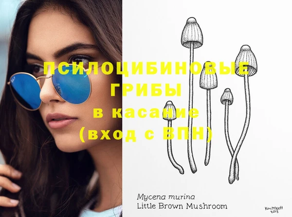молекула духа Чекалин