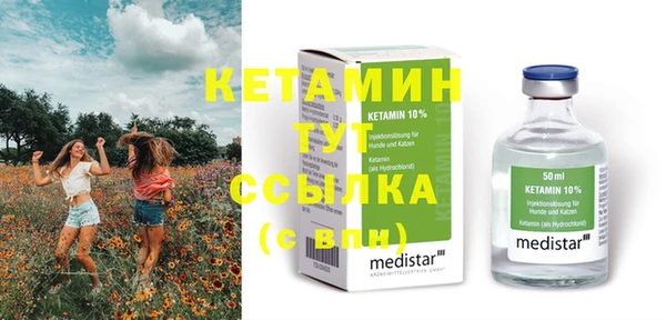 сатива Коряжма