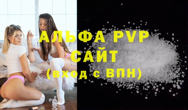 стафф Козельск