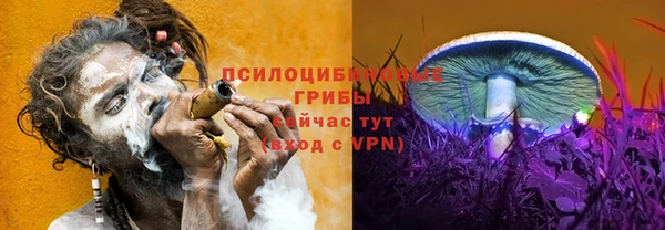 а пвп мука Корсаков