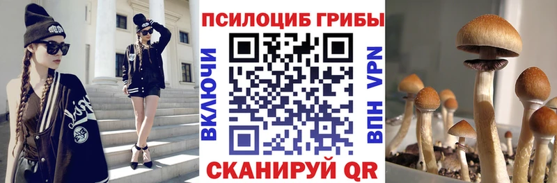 цена наркотик  Майский  Псилоцибиновые грибы ЛСД 
