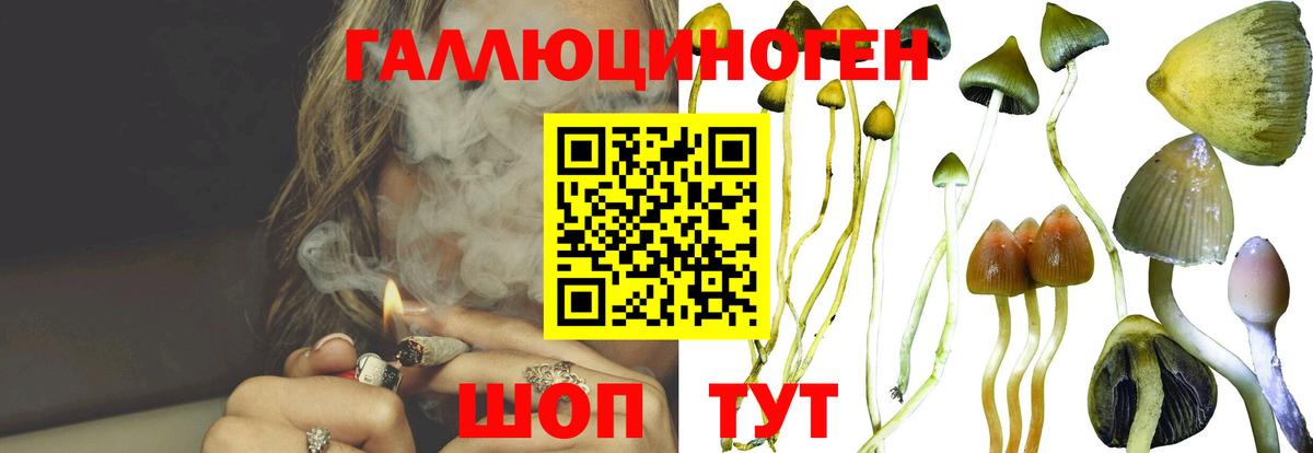 Псилоцибиновые грибы прущие грибы Майский